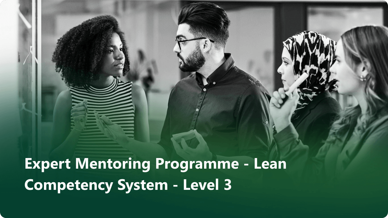 Expert-Mentoring-Programme_Thumbnail